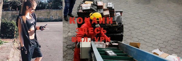 спайс Арсеньев