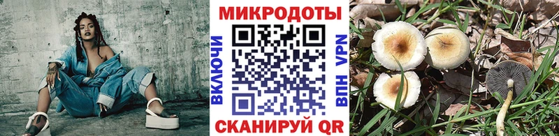 Галлюциногенные грибы GOLDEN TEACHER  где найти   Волгоград 