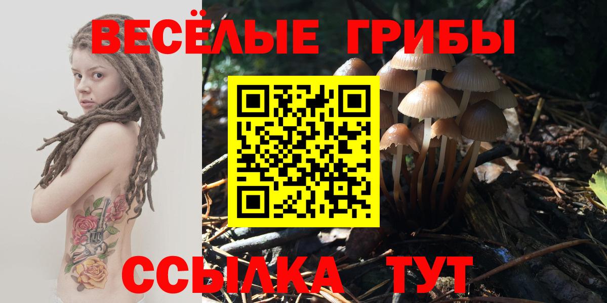 Псилоцибиновые грибы мухоморы Волгоград