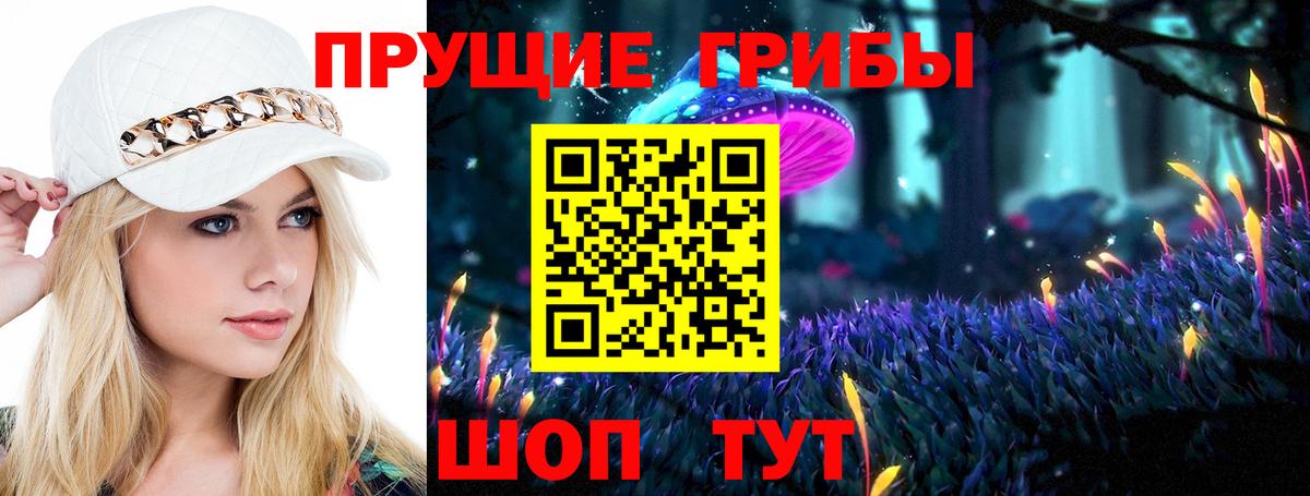 Волгоград  Галлюциногенные грибы прущие грибы  Псилоцибиновые грибы Psilocybine cubensis  дарнет шоп  Вход с VPN 